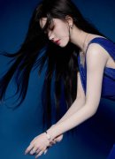 台行政机构提复议案让行政和立法冲突浮上台面